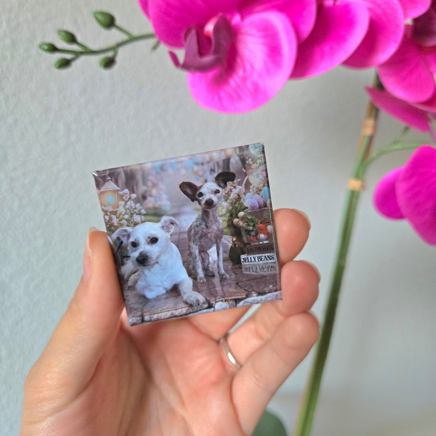 6 Custom Photo Magnets