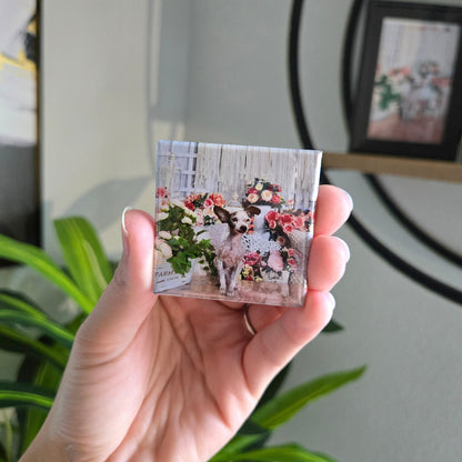 6 Custom Photo Magnets