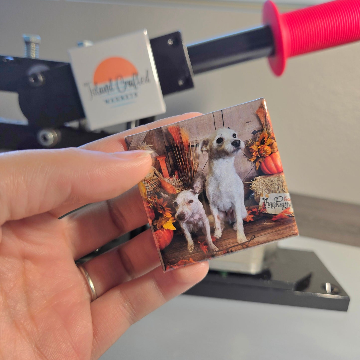 6 Custom Photo Magnets