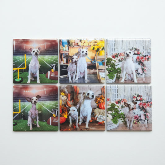 6 Custom Photo Magnets